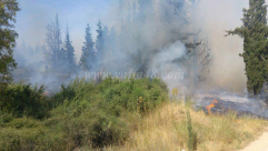 صور: حريق كبير في الاحراش قرب مدينة اللد